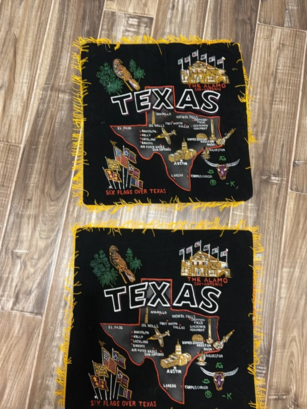 Vintage Texas Souvenir Pillow cases with Yellow Fringe.